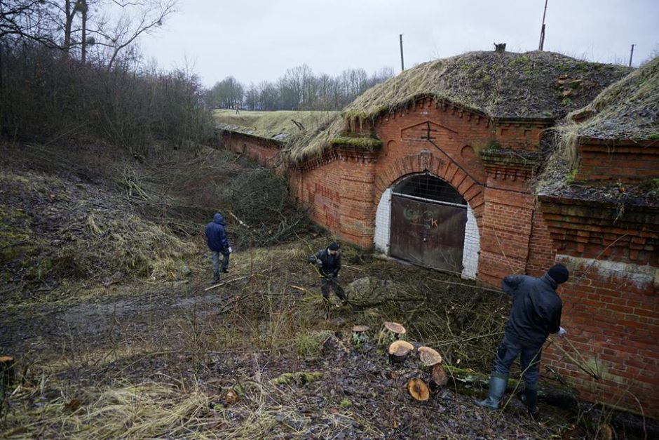 Fortuose – išskirtinis talkų derlius