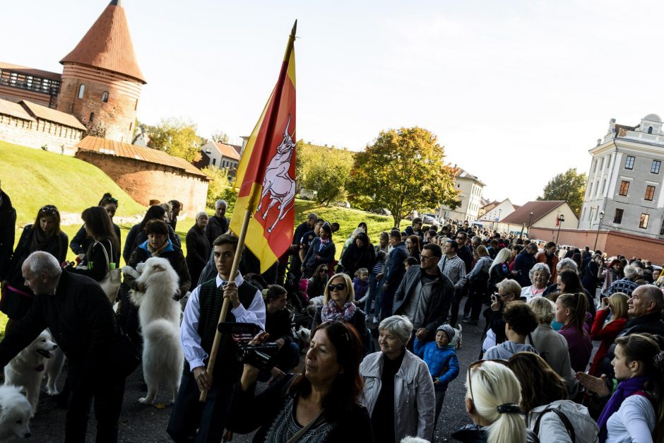 Kaune gyvūnus laimino Vatikano nuncijus