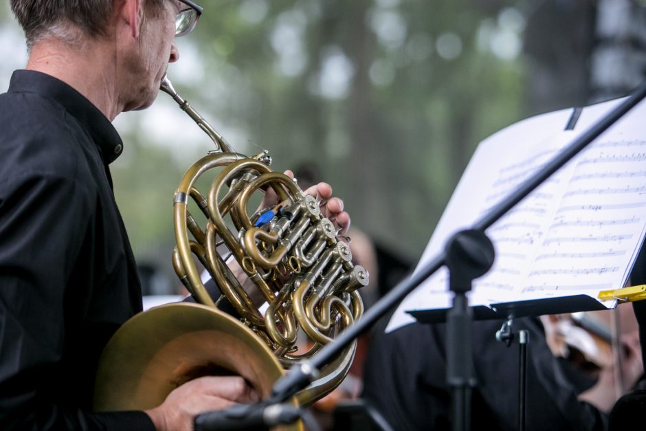 Netipiškas Pažaislio festivalio koncertas