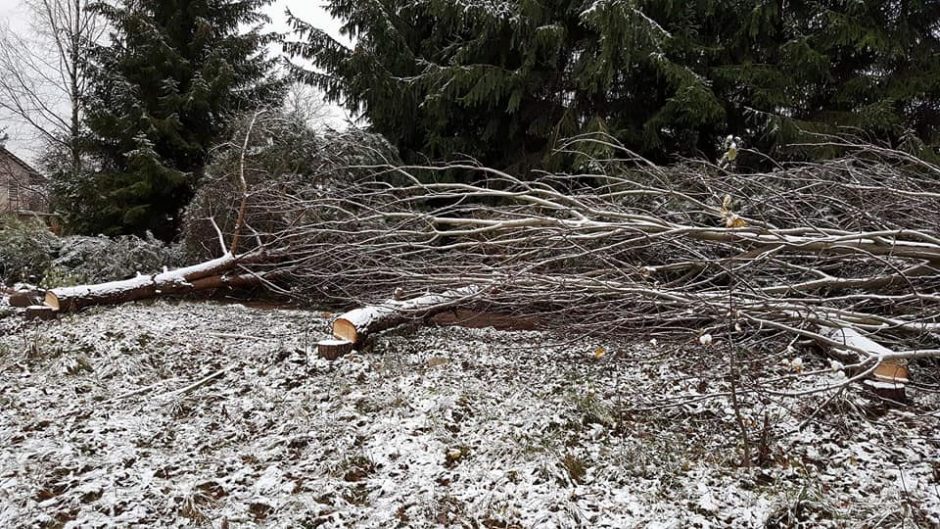 Pasipiktinęs N. Juška: ir kaip grįžti namo?