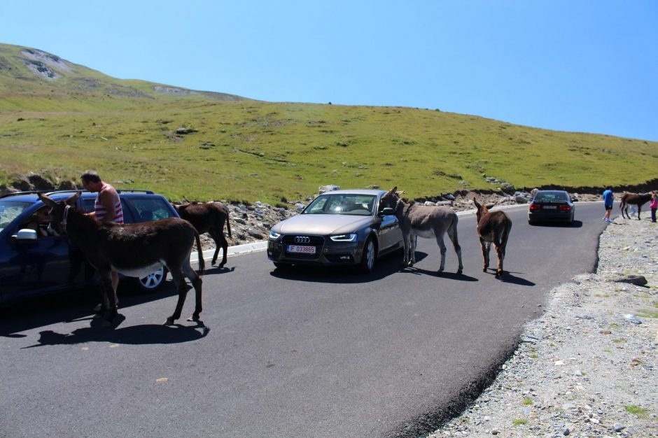 „SIXT Lietuva“ patarimai keliaujantiems į užsienį automobiliu