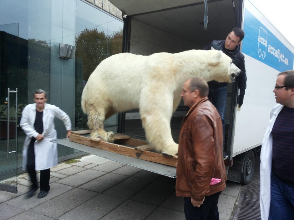 Kasparas persikėlė į T.Ivanausko zoologijos muziejų