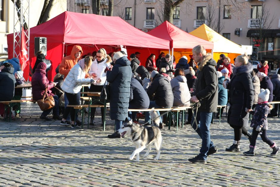 Maltiečių sriuba šildė ir klaipėdiečių širdis