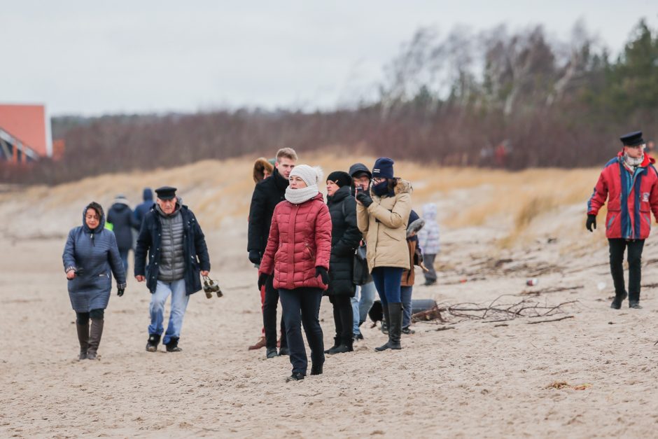 Netoli Klaipėdos uosto ant seklumos užplaukė laivas