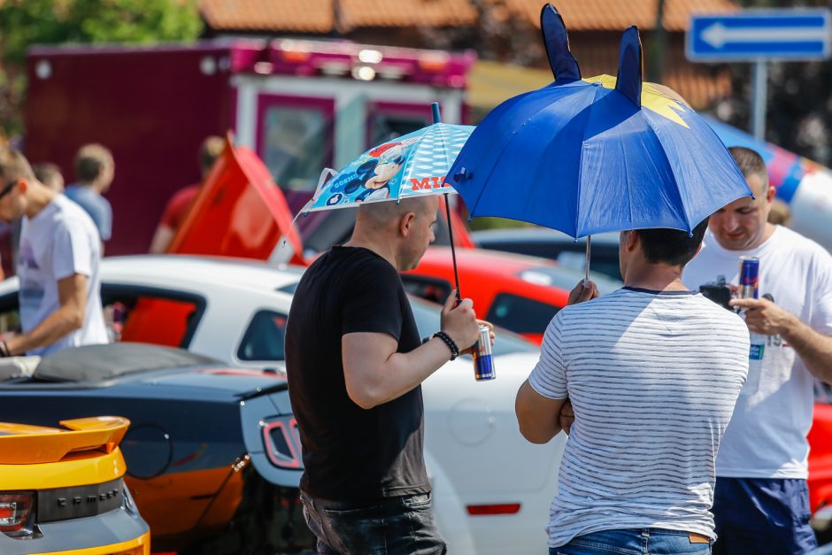 Džiazuojančioje Klaipėdoje – akį traukiantys automobiliai 