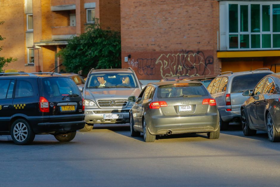 SEL sudrebino Klaipėdą: suplūdo minios gerbėjų