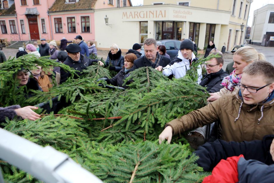 Klaipėdiečiai plūdo pasiimti eglių šakų