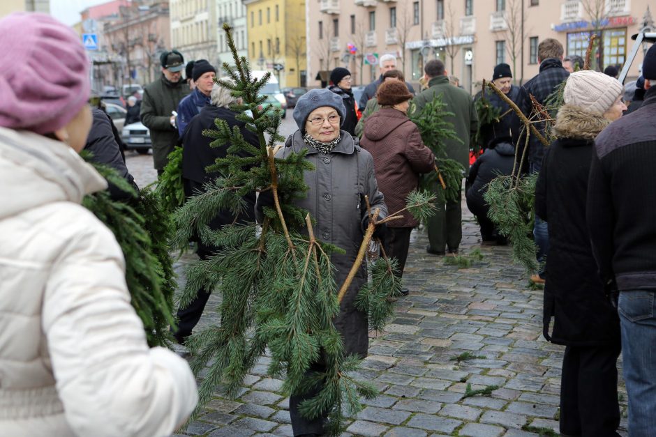 Klaipėdiečiai plūdo pasiimti eglių šakų