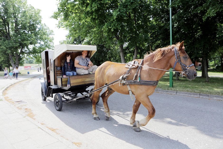 Smiltynė turistus vilioja pliažu ir ruoniais