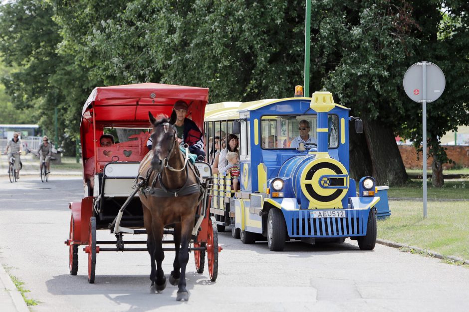 Smiltynė turistus vilioja pliažu ir ruoniais