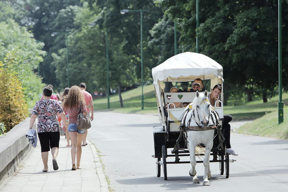 Smiltynė turistus vilioja pliažu ir ruoniais