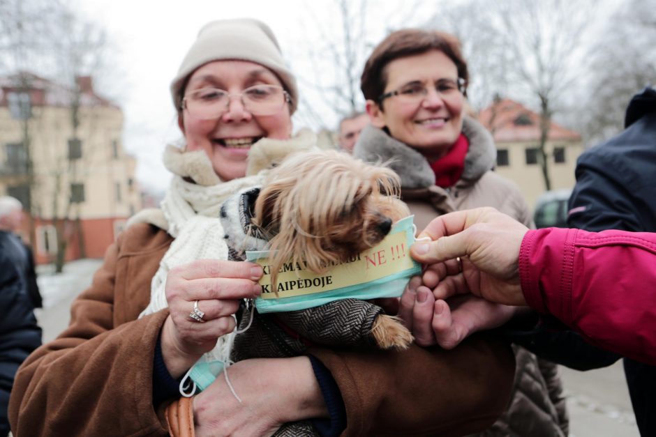 Krematoriumas uostamiestyje neiškils?