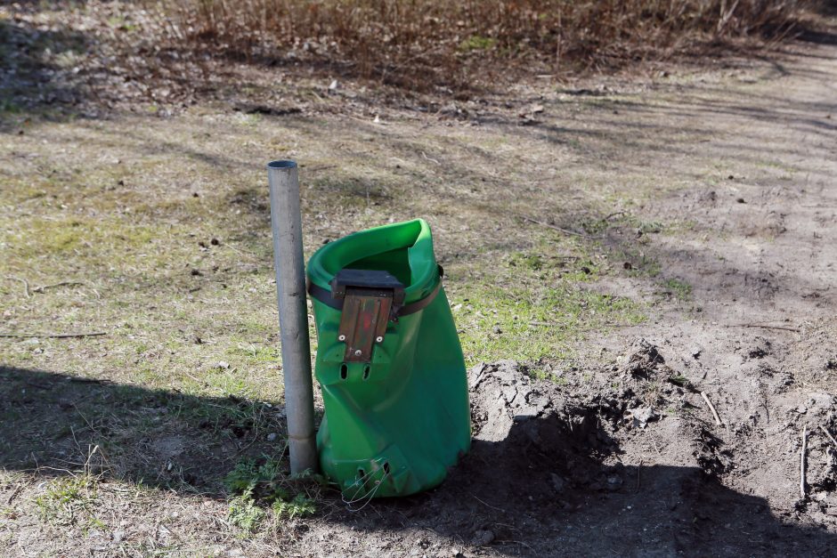 Nerimą kelia miesto parkų ateitis