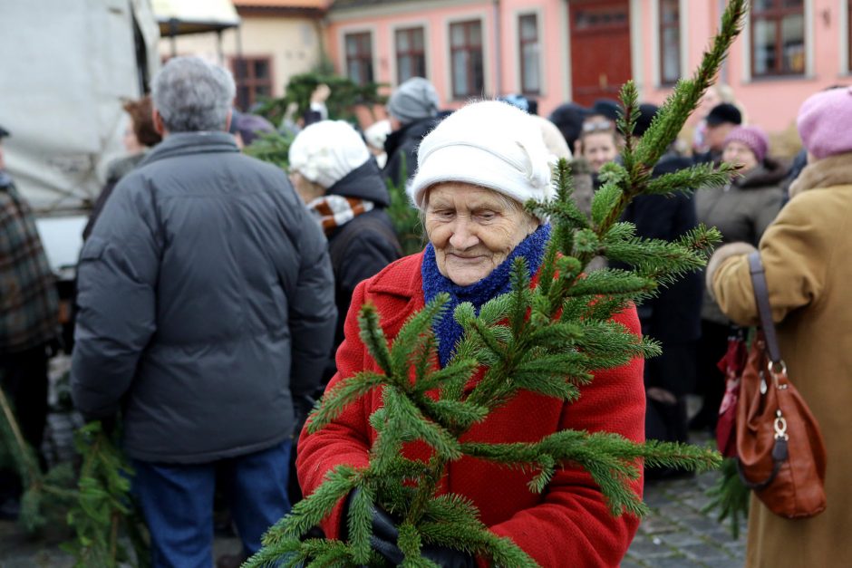 Klaipėdiečiai plūdo pasiimti eglių šakų