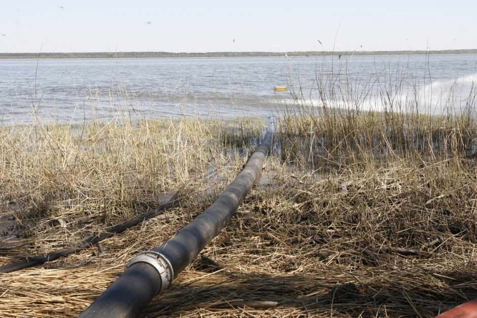 Kuršių nerijai padarytos žalos mastas paaiškės per savaitę 