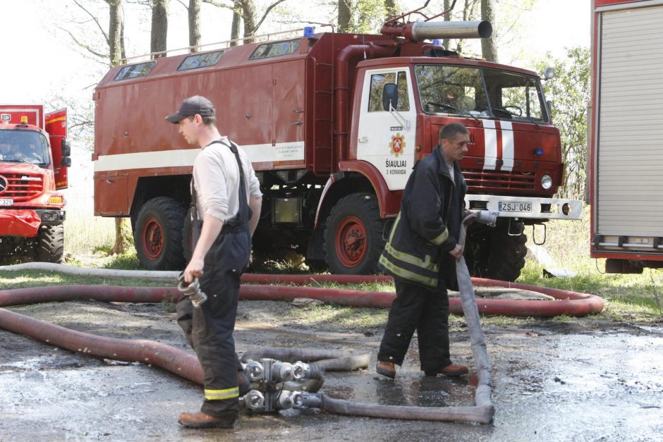 Kuršių nerijai padarytos žalos mastas paaiškės per savaitę 