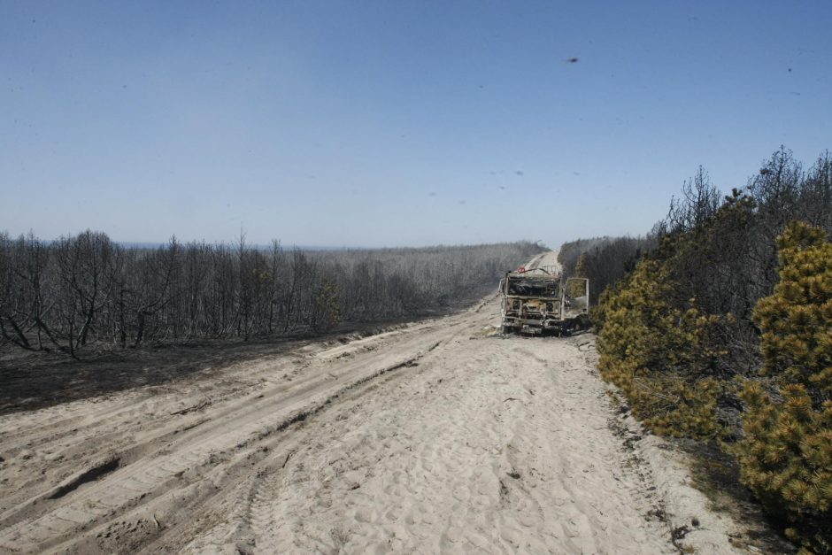 Kuršių nerijai padarytos žalos mastas paaiškės per savaitę 