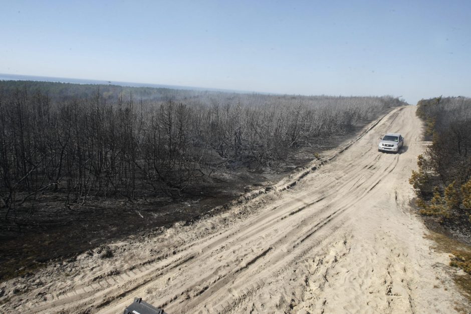 Kuršių nerijai padarytos žalos mastas paaiškės per savaitę 