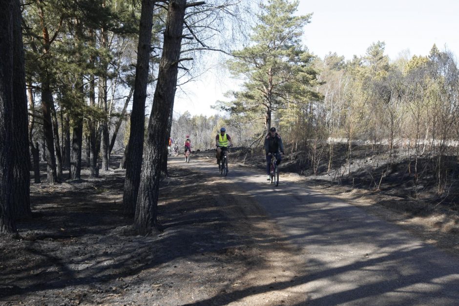 Kuršių nerijai padarytos žalos mastas paaiškės per savaitę 