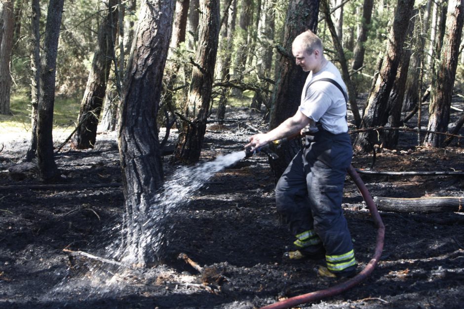 Kuršių nerijai padarytos žalos mastas paaiškės per savaitę 