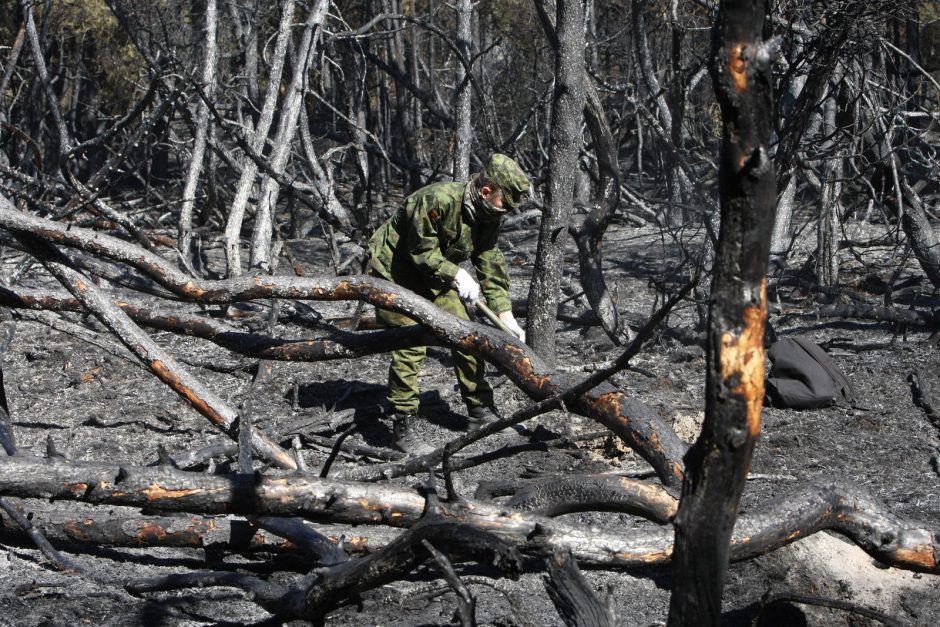 Kuršių nerijai padarytos žalos mastas paaiškės per savaitę 