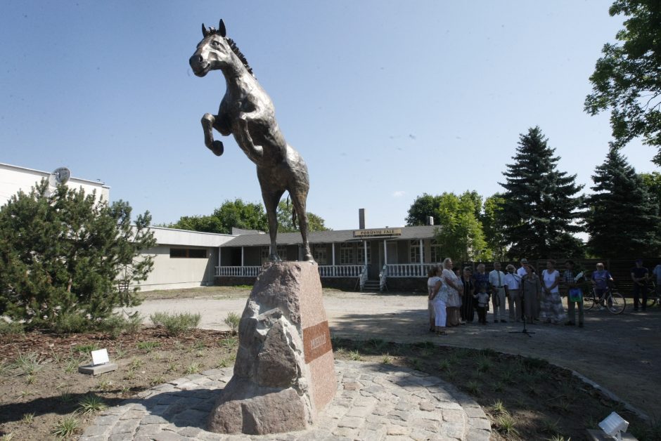 Priekulėje – žirgų sporto ir miesto šventė