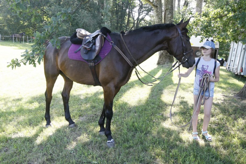 Priekulėje – žirgų sporto ir miesto šventė