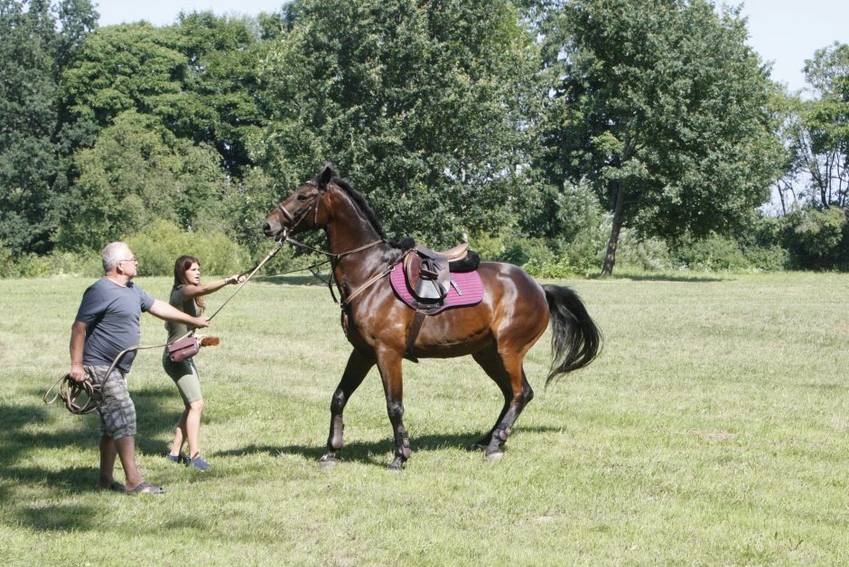 Priekulėje – žirgų sporto ir miesto šventė