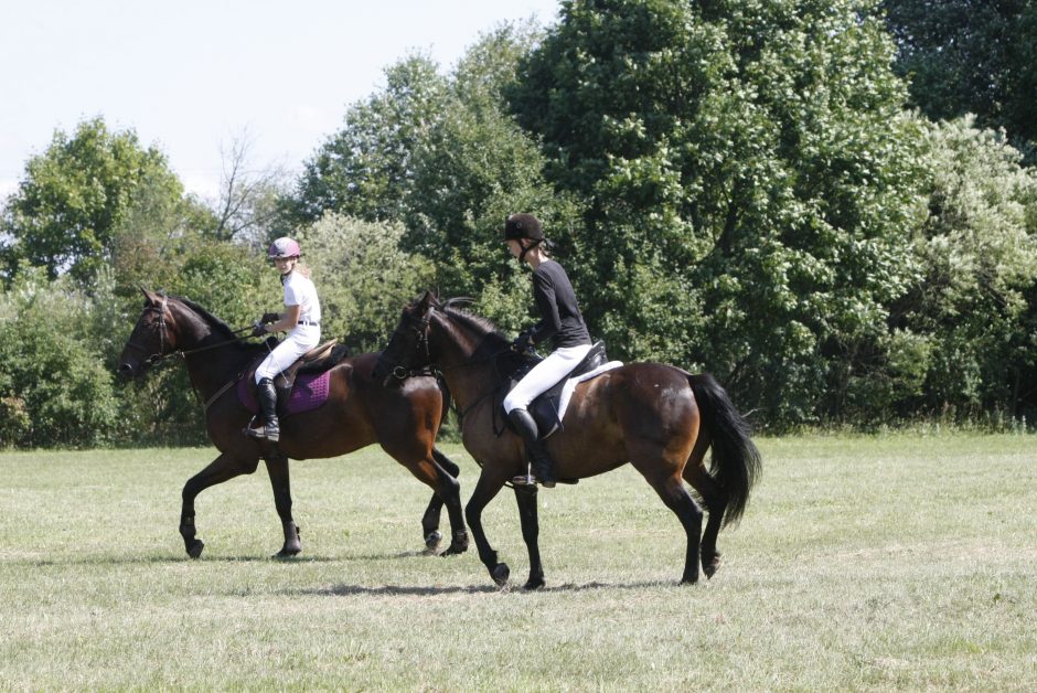 Priekulėje – žirgų sporto ir miesto šventė