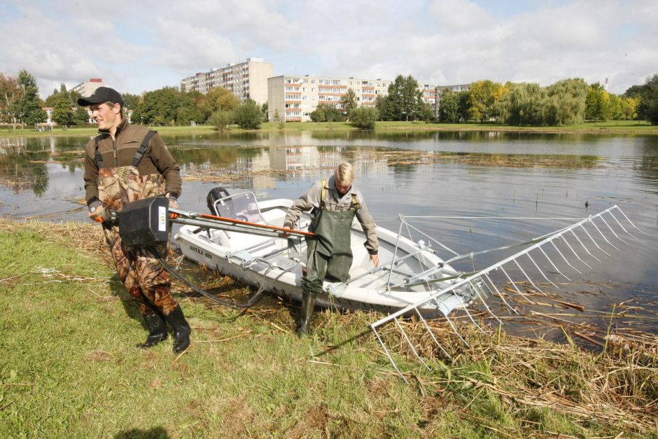 Dėl tvenkinio augalų – nepasitenkinimas