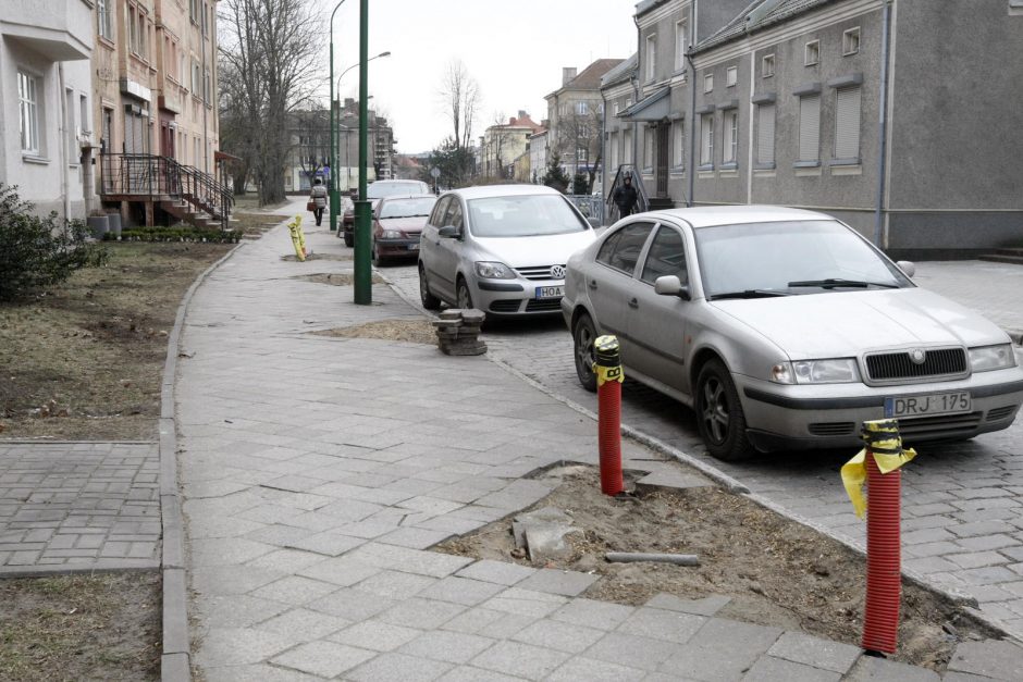 Klaipėdai trūksta vyriausiojo sodininko