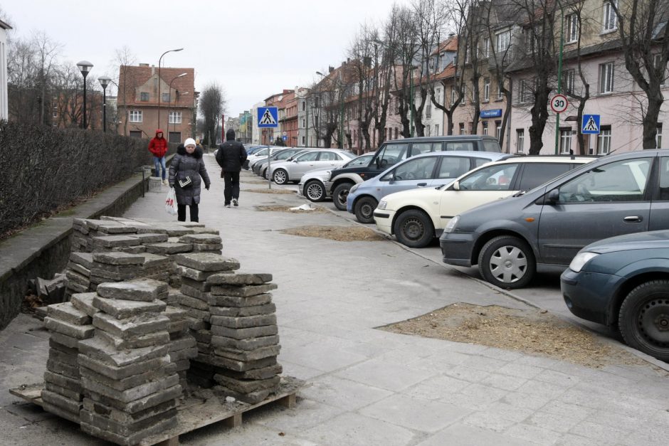 Klaipėdai trūksta vyriausiojo sodininko