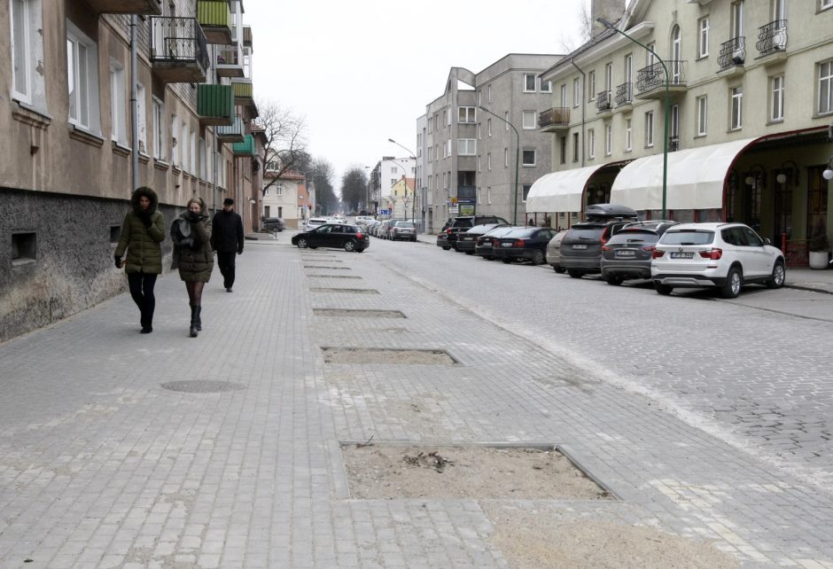 Klaipėdai trūksta vyriausiojo sodininko