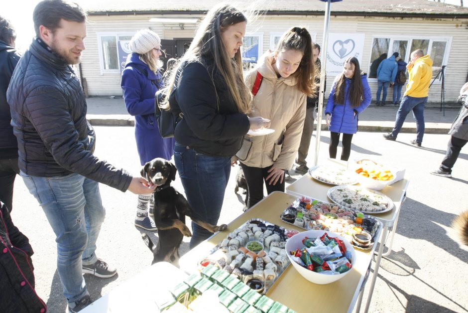 Klaipėdos „Linksmosios pėdutės“ švenčia gimtadienį