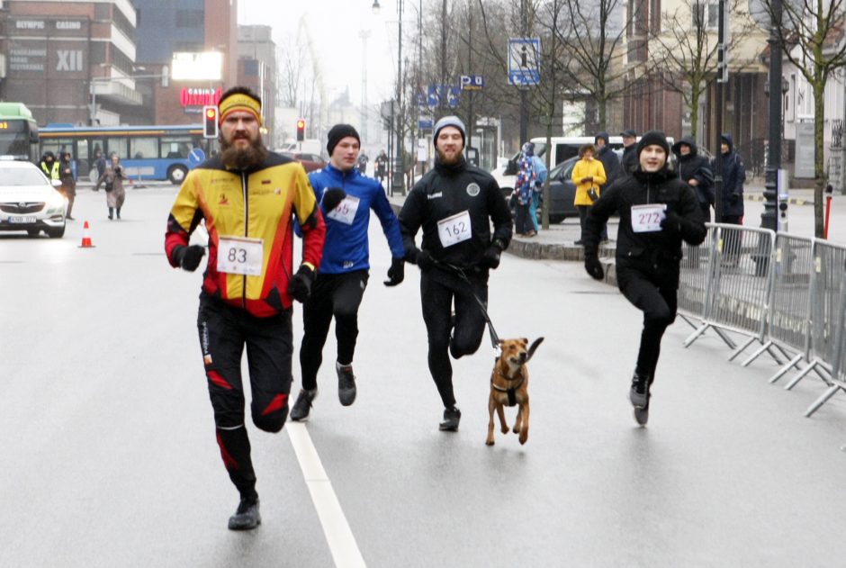 Laisvės gynėjų dienos bėgimo varžybose triumfavo A. Jakubynas ir U. Žvinklytė