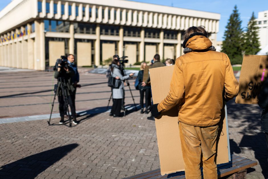 Parlamentarai neįteisino naktinių taikiklių šernams medžioti, bet galutinis priėmimas įstrigo