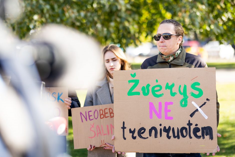 Parlamentarai neįteisino naktinių taikiklių šernams medžioti, bet galutinis priėmimas įstrigo