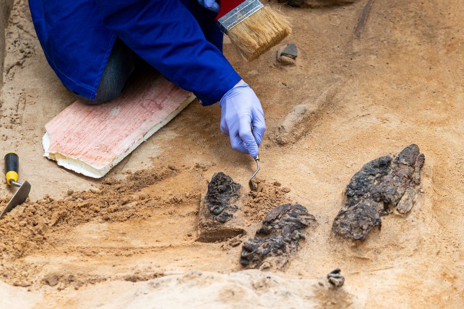 Verkių dvarvietės parke Vilniuje archeologai rado XIII–XIV amžių kapus