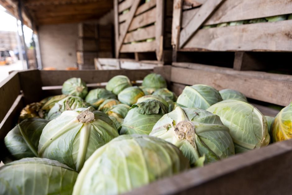 Nuo kitos savaitės – draudimas importuoti iš Rusijos ir Baltarusijos žemės ūkio produktus