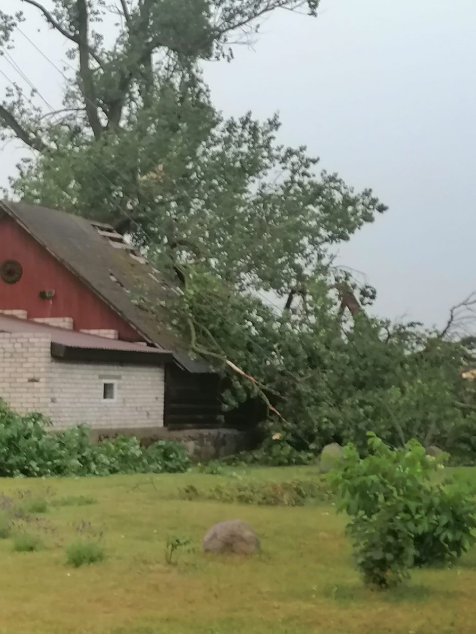 Siaubinga nelaimė Panevėžio rajone: per audrą lūžę medžiai sugriovė namus