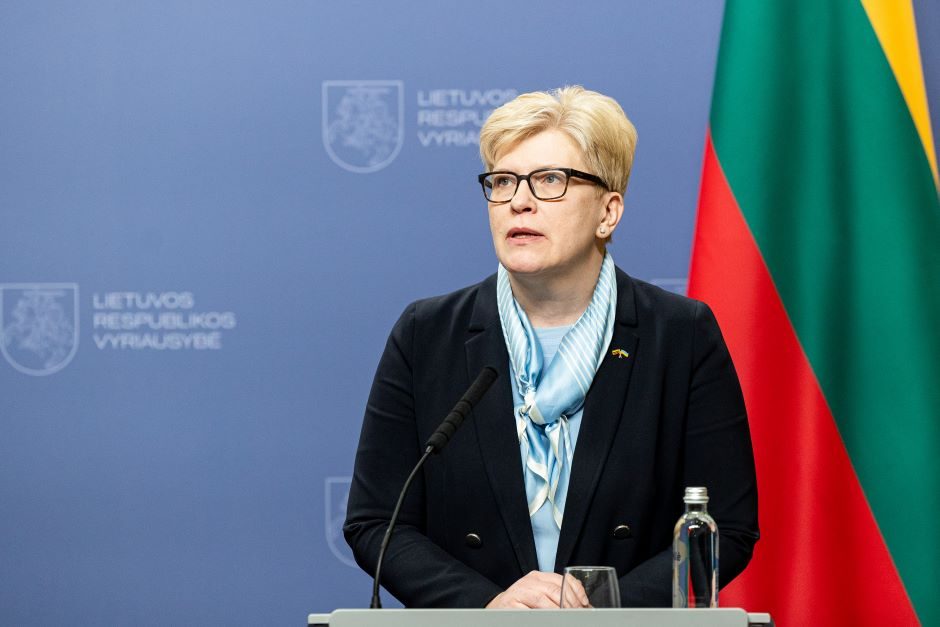 Premjerė: daugiau lėšų gynybai galima telkti per privataus ir viešojo sektorių partnerystę