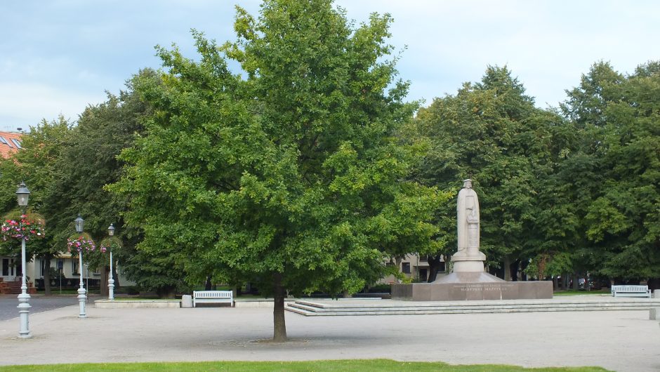 Medžiai irgi kuria miesto istoriją