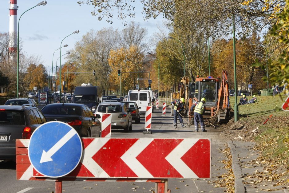 Skraidančiųjų buvo ir bus