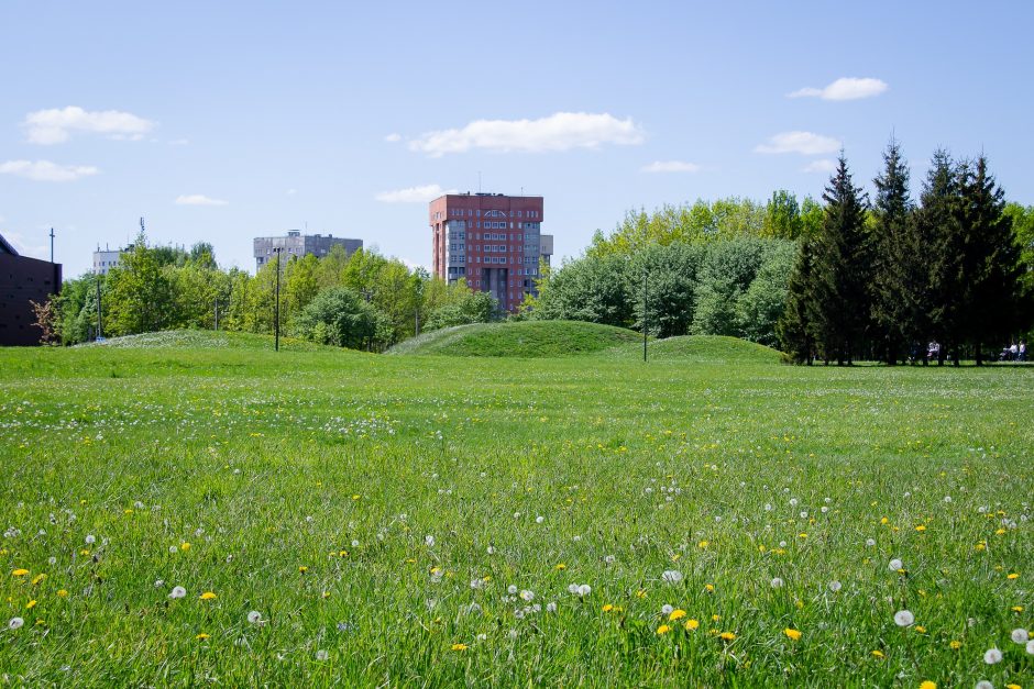 Kauno Kalniečių parke atidaroma lauko vasaros skaitykla