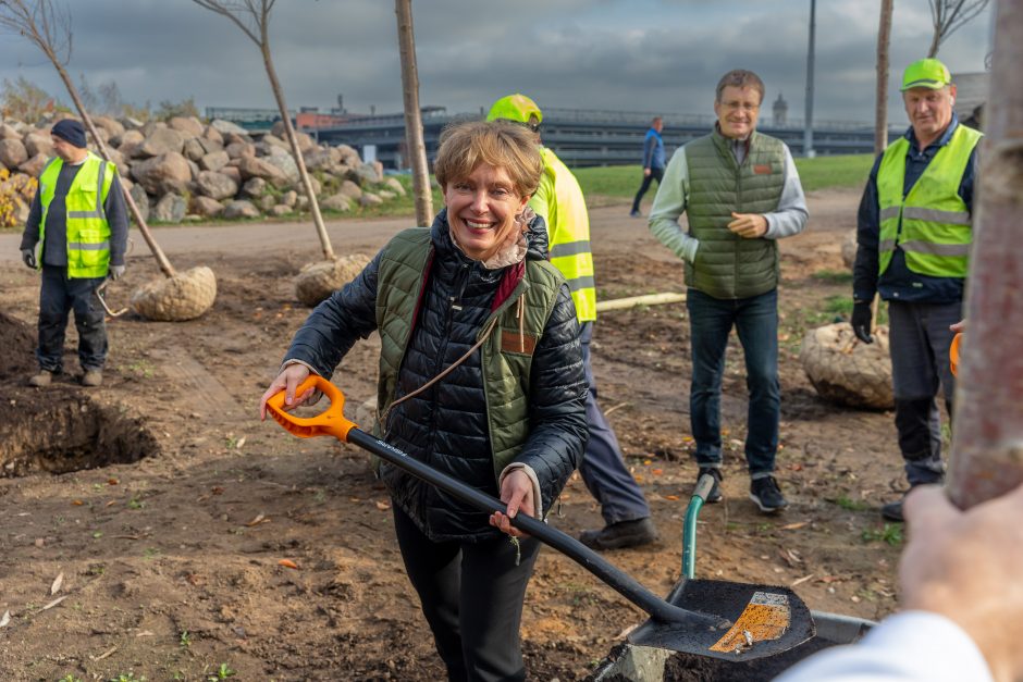 Rotary klubų ir Kauno miesto bendrystę primins sakurų parkas