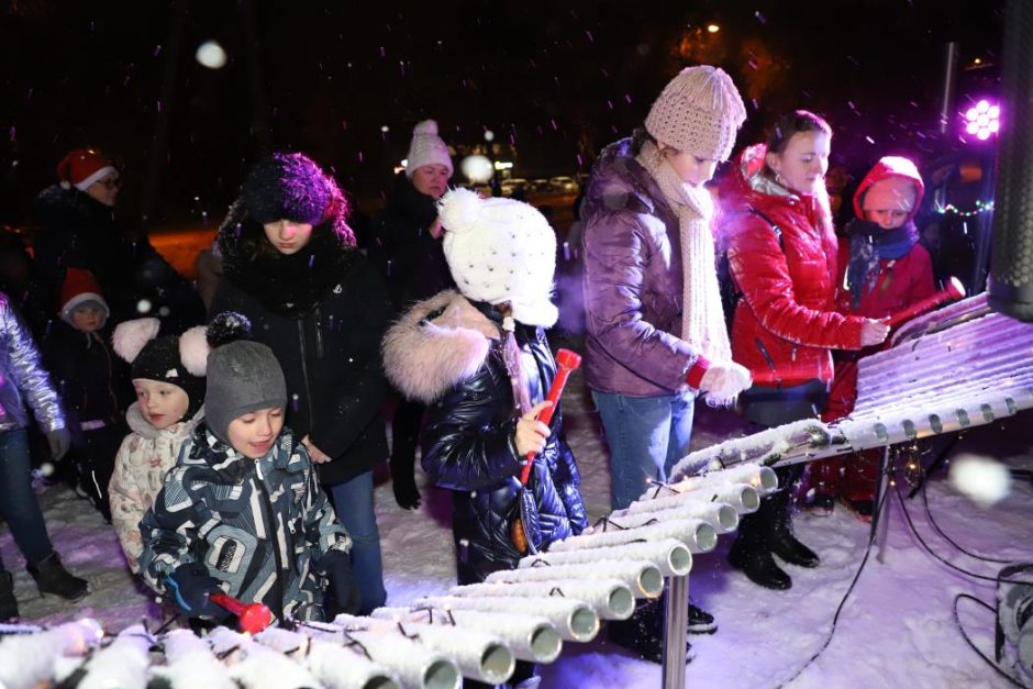 Domeikavoje atidarytas muzikinių instrumentų parkas