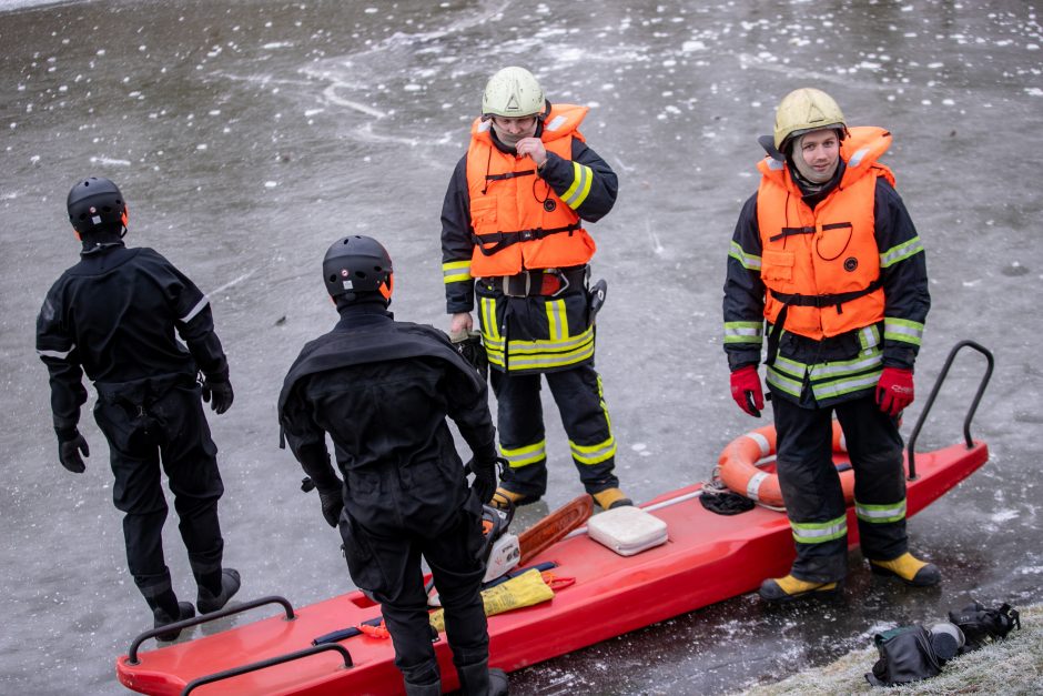 Garliavos parko tragedija: paaiškėjo, kas nutiko gimtadienį užsišventusiam emigrantui