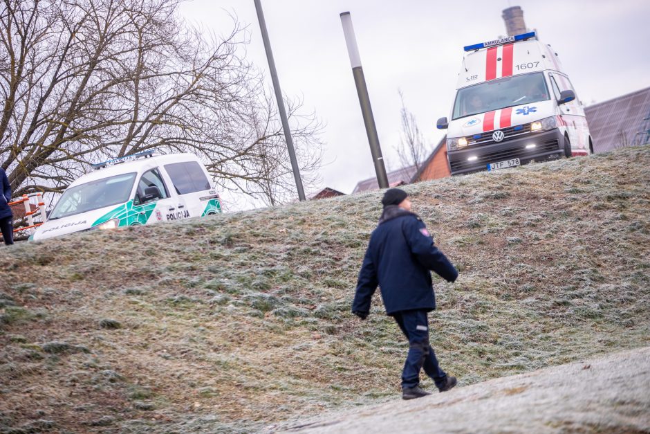 Garliavos parko tragedija: paaiškėjo, kas nutiko gimtadienį užsišventusiam emigrantui