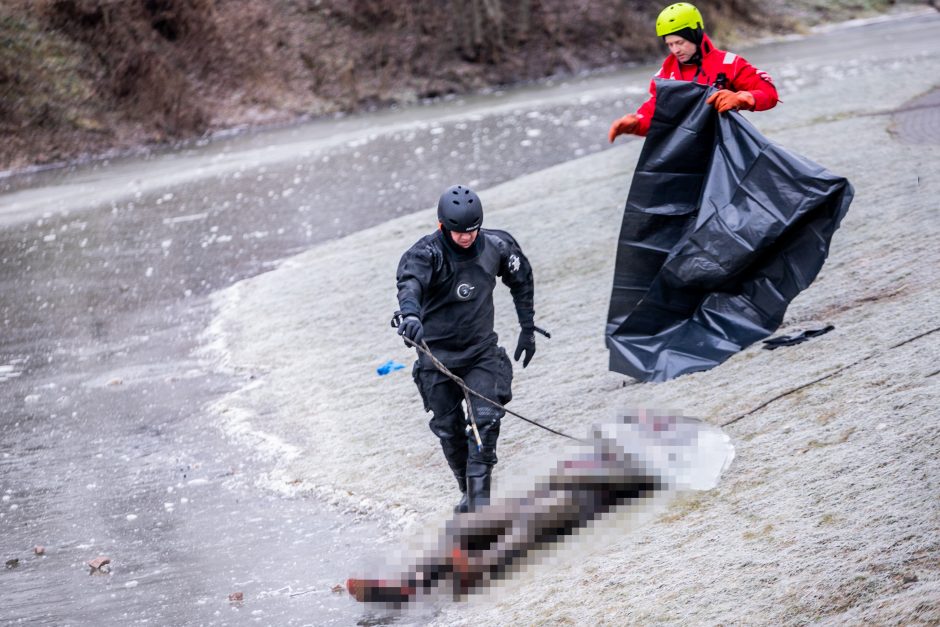 Garliavos parko tragedija: paaiškėjo, kas nutiko gimtadienį užsišventusiam emigrantui