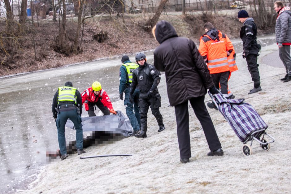 Garliavos parko tragedija: paaiškėjo, kas nutiko gimtadienį užsišventusiam emigrantui